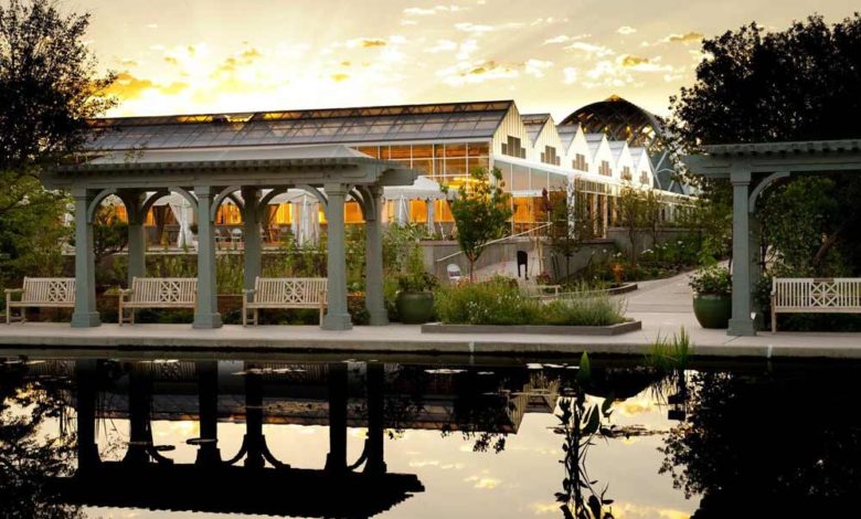 pediatric dental appointment